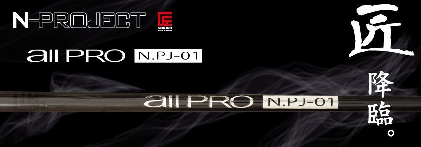 NGS【エヌジーエス】N-PROJECT all-PRO N.PJ-01          【販売終了】