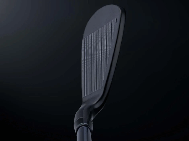 BALDO【バルド】2024 TT FORGED IRON DC SATIN ＆ DC BLACK<br>（DEEP CAVITY STRUCTURE）