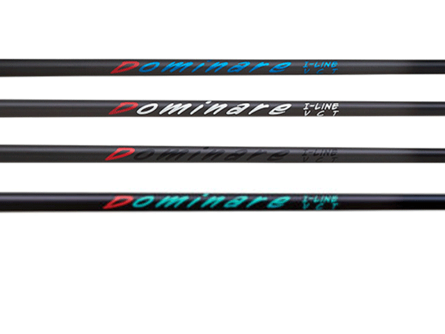 Dominare